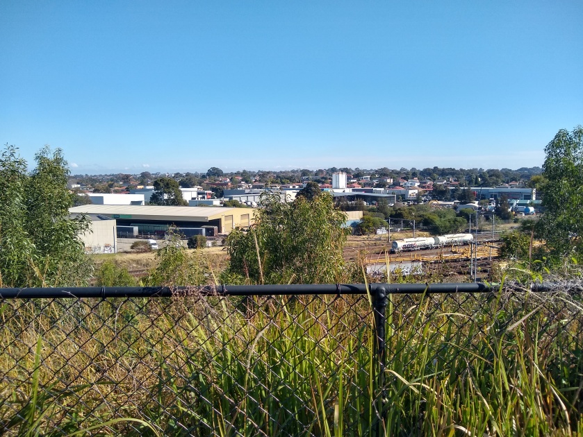 Mount Enfield - view of Bellfrog Rd businesses. Photo Cathy Jones 2019