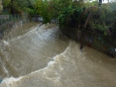 Heavy rainfall in Cooks River Strathfield 2012.